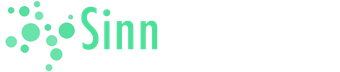 Sinntelligence